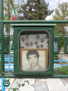 شهید امیر نوفلاح