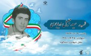 شهید سید جلیل دریاباری