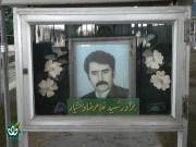 شهید غلامرضا دانشیار