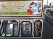 شهید محمدعلی قنادی