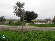 گلزار شهدای روستای ولی - امامزاده ابراهیم علیه السلام