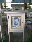 شهید نباتعلی دربندی