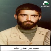 شهید علی ضیایی میاب