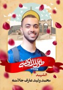 محمد-وليد-عارف-جلامنه